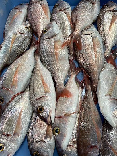 El pescado Seafood Trade b.v., Utrecht