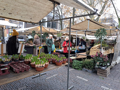 Janskerkhof Bloemenmarkt, Utrecht