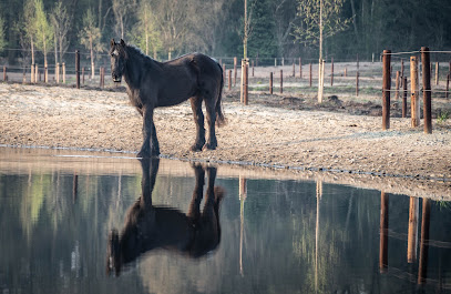 Stichting De Paardenkamp, Utrecht