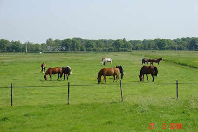 De Frissche Roemer, Utrecht