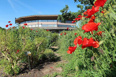 Stadsboerderij Griftsteede | Utrecht Natuurlijk